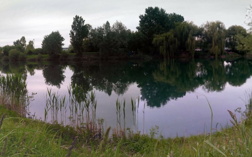 Pokrenuta peticija za spas Ciglarskih bara: Traži se otkup i zaštita područja od zatrpavanja