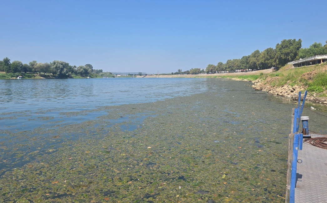 Sava kod Slavonskog Broda sve plića: Suša prijeti novim rekordno niskim vodostajima