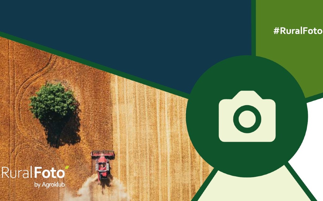 Biraju se najbolje ruralne fotografije u 2023. godini – prijavite svoju
